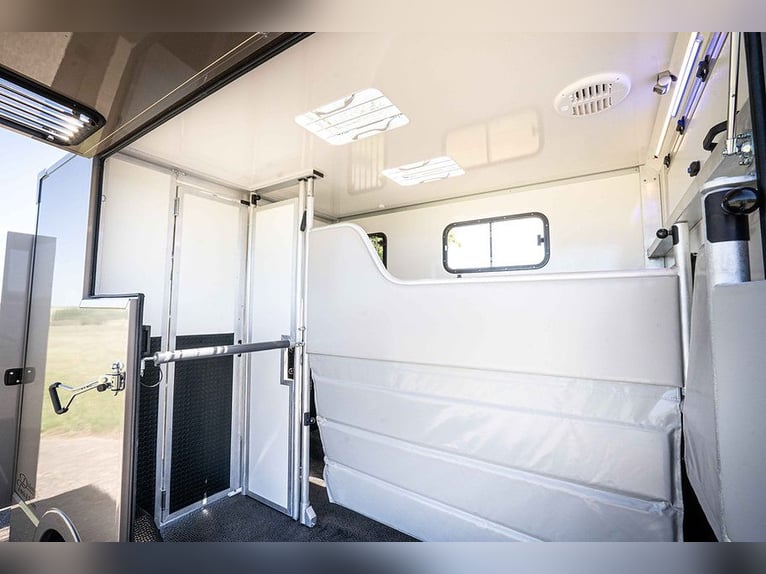 Horse Transporter 2 Ride Automatic Renault Master Livestock Transporter Horsevan Horsetruck Self-Dri