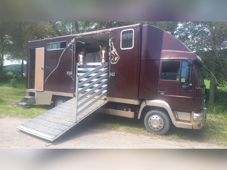 Horse Transporter