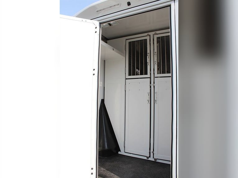 Horse transporter Dickenherr2-Ride Mercedes automatic, brand new vehicle, livestock transporter, Che