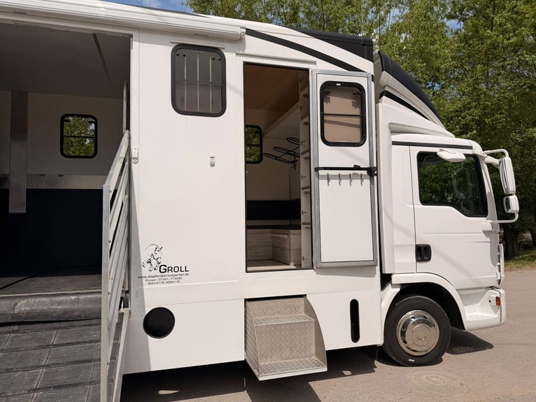 Horse transporter for 4 horses, MAN TGL 8.180