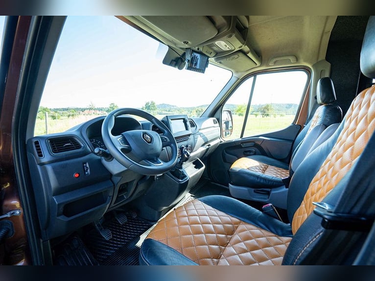 Horse transporter, stallion equipment, 5-seater, only 43,300 km, air conditioning, navigation system
