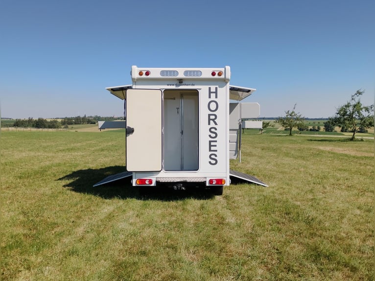 Horse transporter with two side ramps, only 20,500 km. Livestock and animal transporter. Horsebox. C