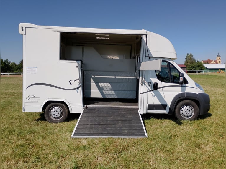 Horse transporter with two side ramps, only 20,500 km. Livestock and animal transporter. Horsebox. C