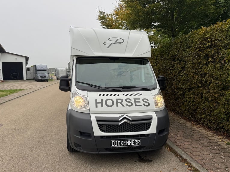 Horse transporter with two side ramps, only 20,500 km, livestock transporter, horse van, trailer