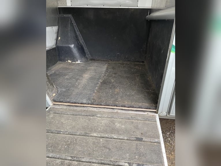 Horsebox / Opel Movano – Top Condition – Böckmann