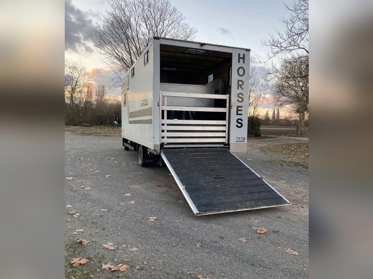 Iveco Daily horsebox transporter for three horses with living quarters