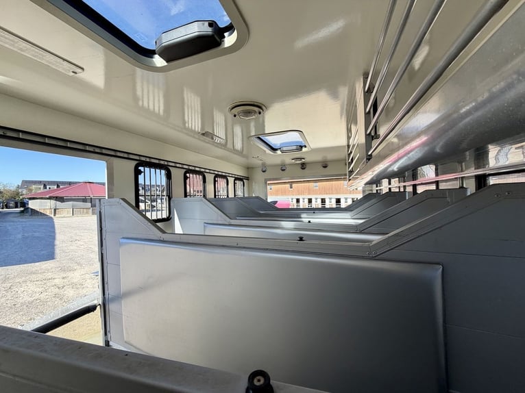 MAN 15.280 Gimmel Horse Transporter with Living Area, WC, Shower, and Space for 5 Horses – Side-Load