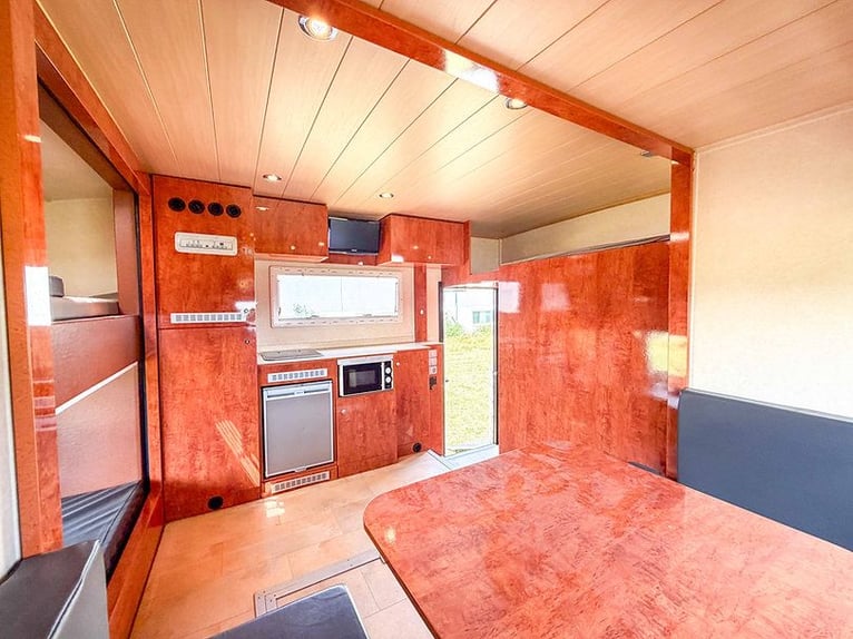 MAN TGM 18.240 horse transporter with living compartment and POP Out, suitable for 6 horses, livesto
