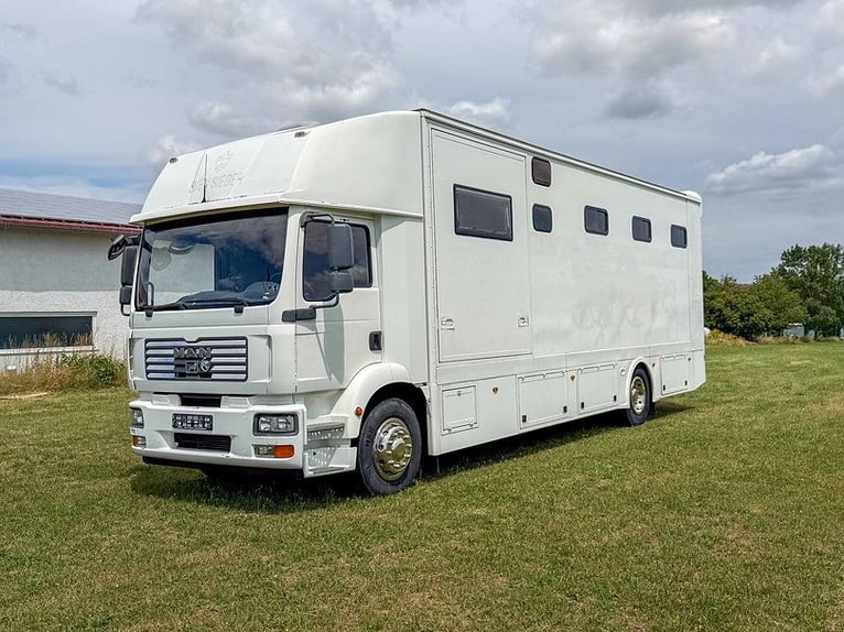 MAN TGM 18.240 horse transporter with living compartment and POP Out, suitable for 6 horses, livesto