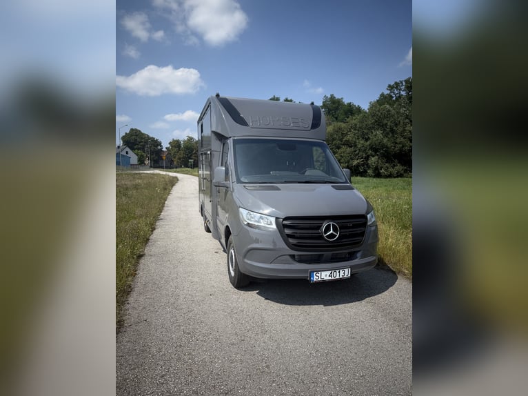 Mercedes Sprinter Horse Truck, 3 seats, suitable for stallion, 2.0 CDI, 150 HP