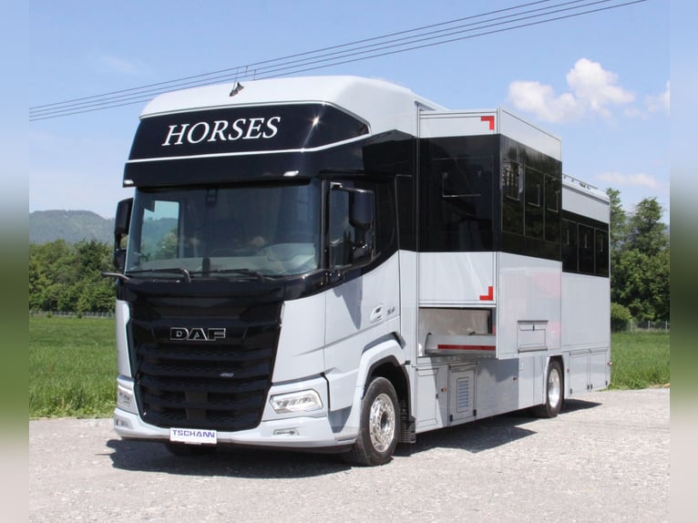Pferdetransporter DAF XF410 Horsetruck Wohnmobil 