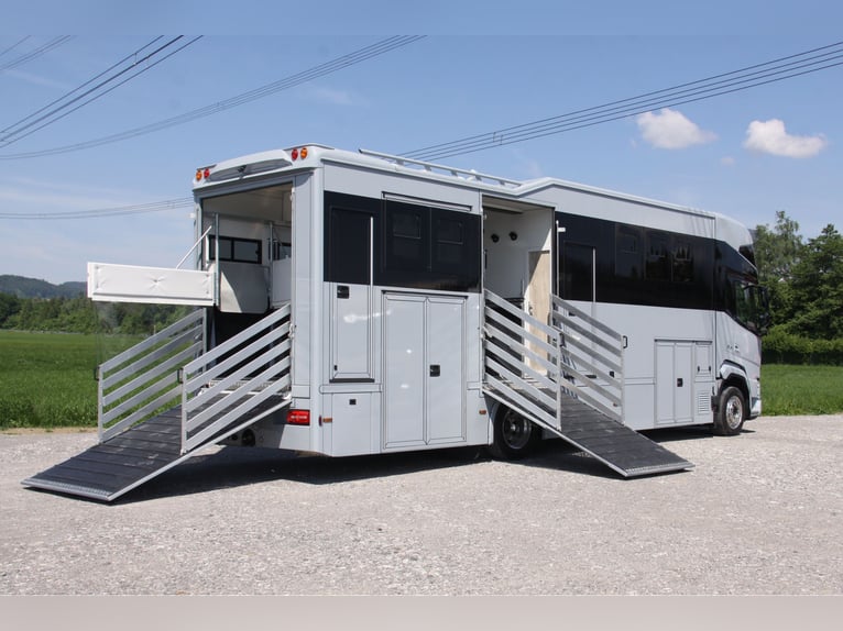 Pferdetransporter DAF XF410 Horsetruck Wohnmobil 