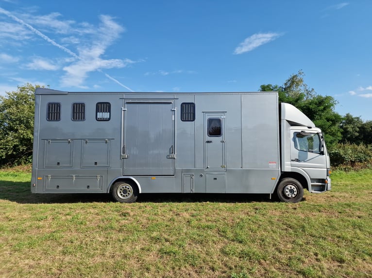 Pferdetransporter/Pferde LKW