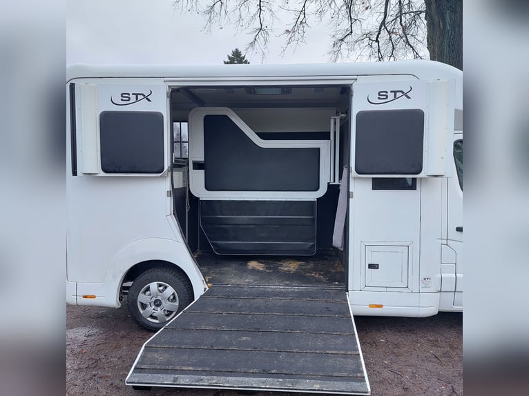 Pferdetransporter STX Horsebox Opel 3,5 t gebraucht, 5-Sitzer