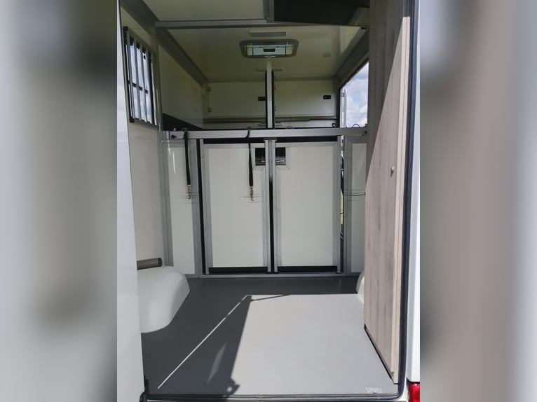 Renault Master Horsebox with automatic transmission, only 35,300 km, 170 HP, livestock transporter, 