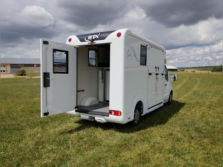 Renault Master Horsebox with automatic transmission, only 35,300 km, 170 HP, livestock transporter, 