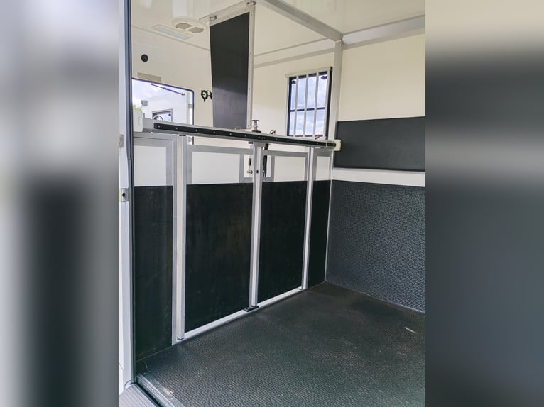 Renault Master Horsebox with automatic transmission, only 35,300 km, 170 HP, livestock transporter, 