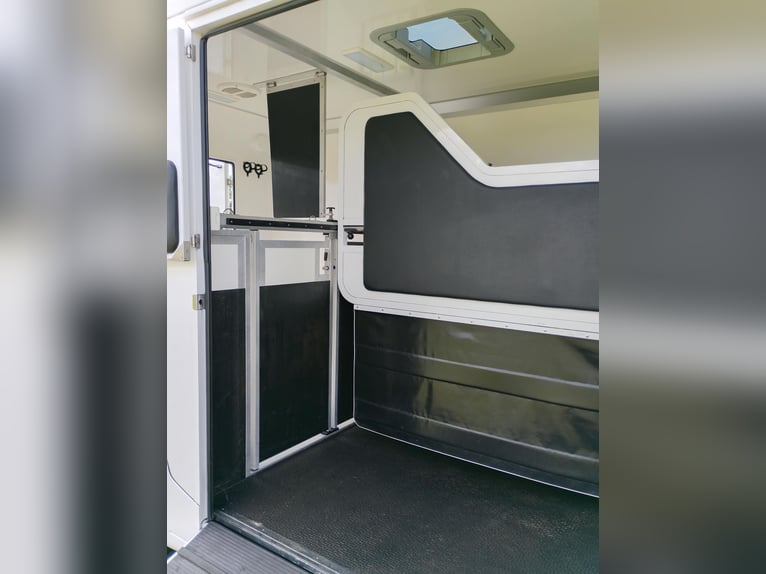 Renault Master Horsebox with automatic transmission, only 35,300 km, 170 HP, livestock transporter, 