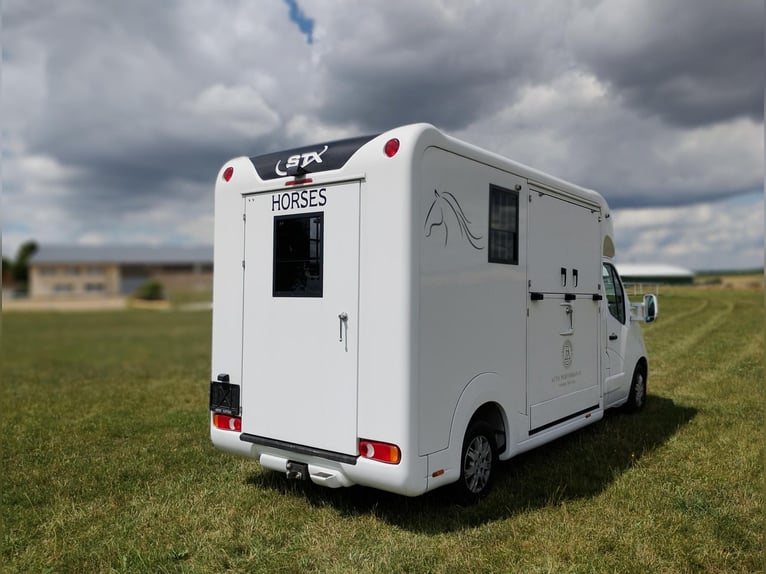 Renault Master Horsebox with automatic transmission, only 35,300 km, 170 HP, livestock transporter, 