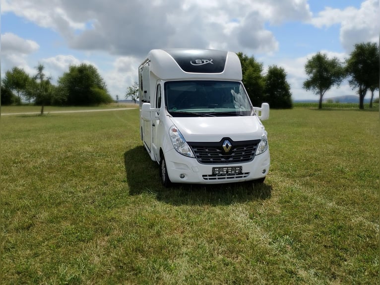 Renault Master Horsebox with automatic transmission, only 35,300 km, 170 HP, livestock transporter, 