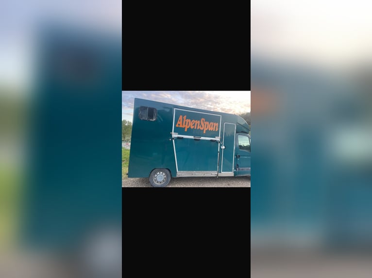 Two-horse trailer