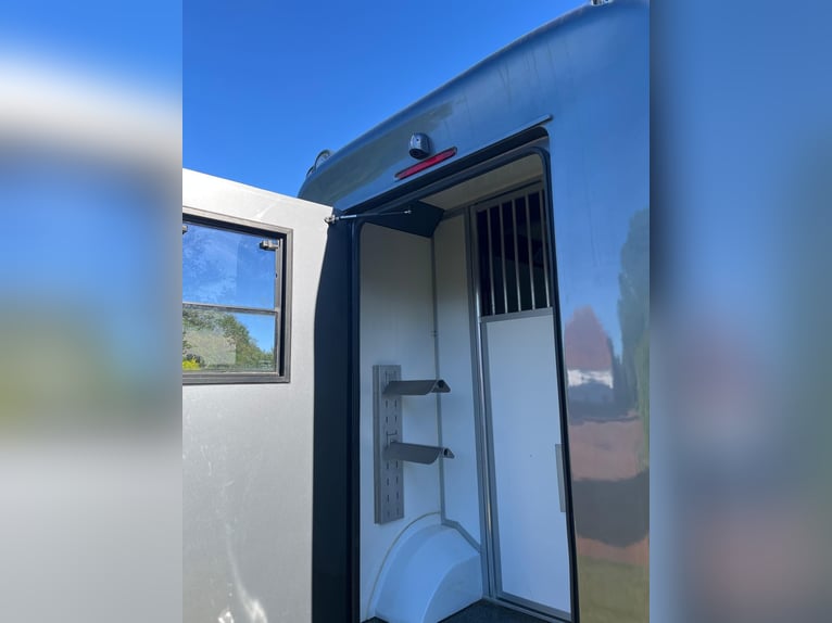 2-Pferdetransporter auf Renault Master Basis, Modell Equita, kaum benutzt