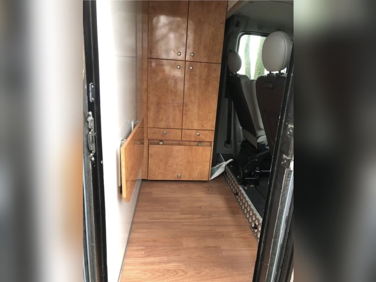 Böckmann horsebox