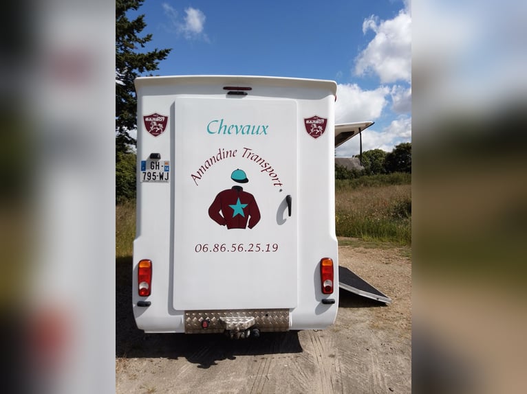 Camion chevaux Barbot