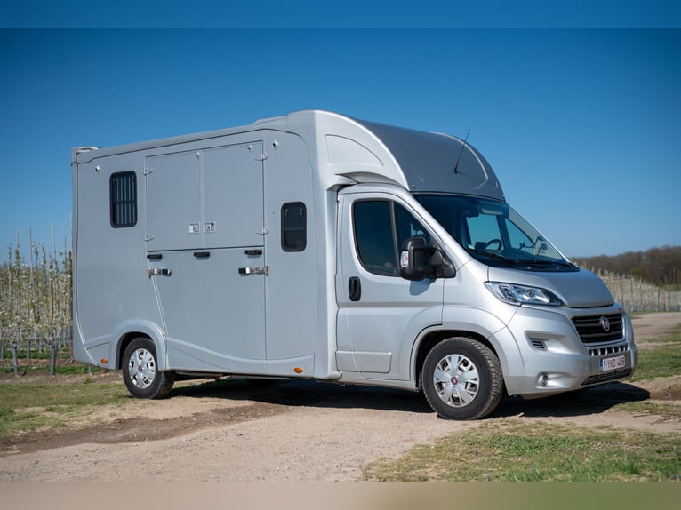 FIAT - DUCATO (2020)