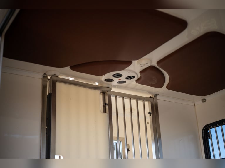 FIAT - DUCATO (2020)