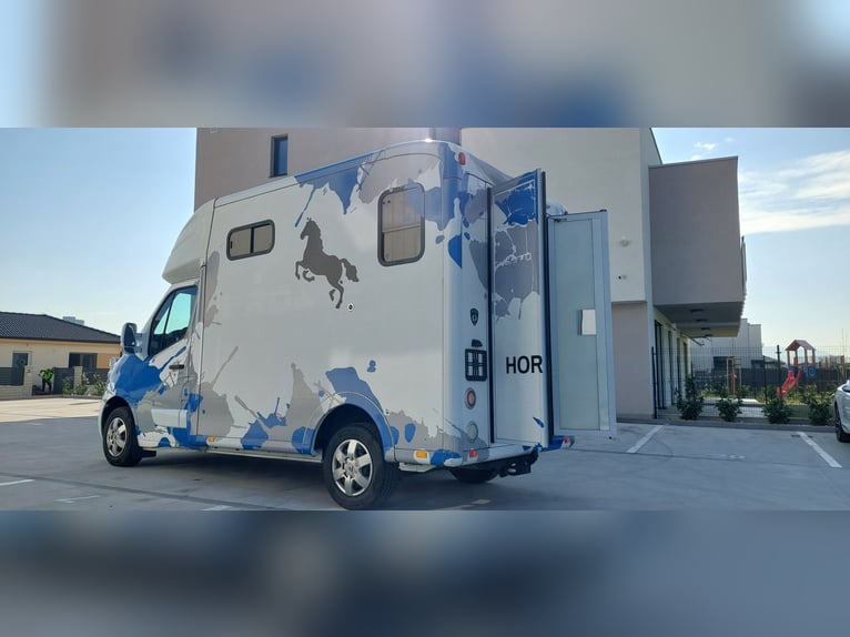 For sale: Paragan Equistar 3 horse transporter