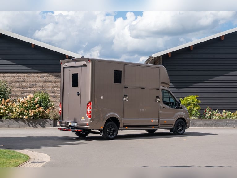 Ford Roelofsen Parados Sport 2-Horse Transporter Deluxe Edition – Automatic – Ready for Immediate De