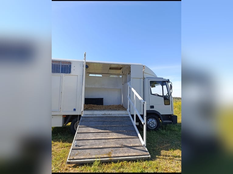Horse trailer