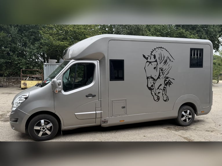 Horse trailer STX 5-seater