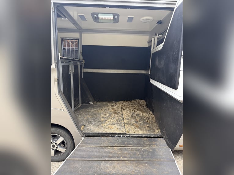 Horse trailer STX 5-seater