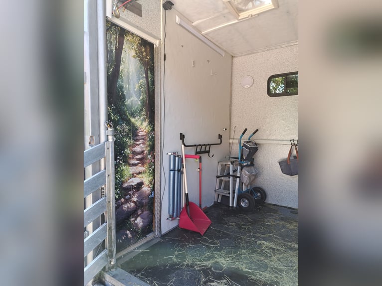 Horse transporter 7.5-ton truck with H license plate, suitable for 3 horses