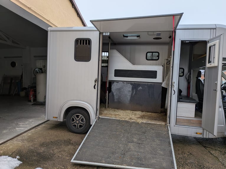 Horse transporter; horsebox truck; 5-seater; Compact L Plus