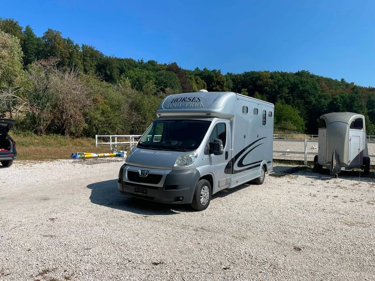 Horse transporter / Self-driver Peugeot Equi-Trek Sonic for sale