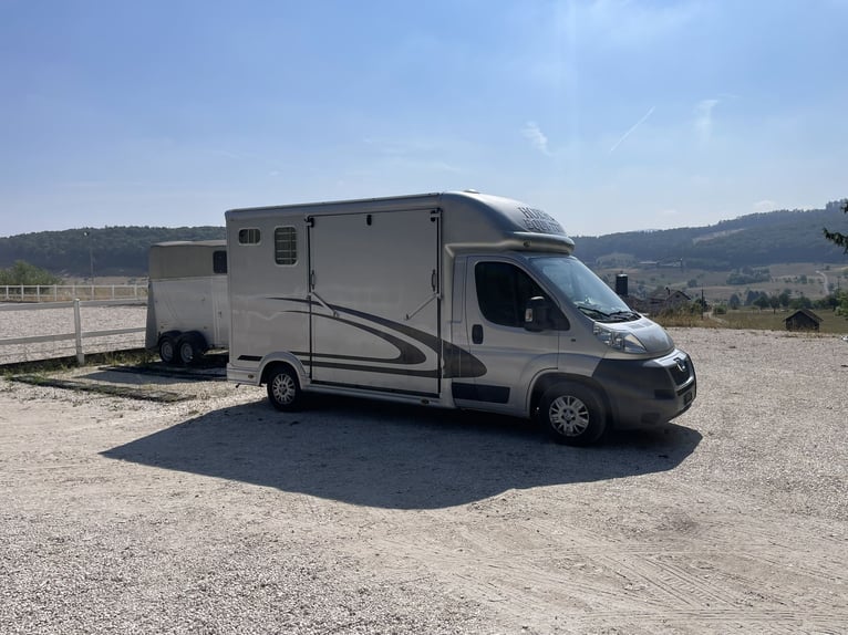 Horse transporter / Self-driver Peugeot Equi-Trek Sonic for sale