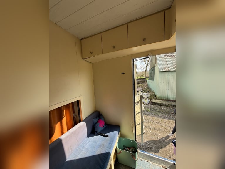 Horse truck 814 Mercedes with H registration for 4 horses. New inspection.