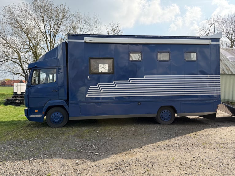 Horse truck 814 Mercedes with H registration for 4 horses. New inspection.