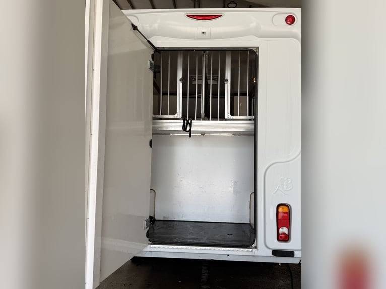 Horse truck