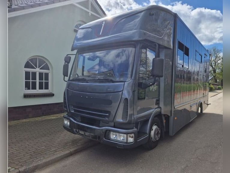 Iveco ML75E15 Tier -Pferdetransport**FÜR 3 PFERDE**