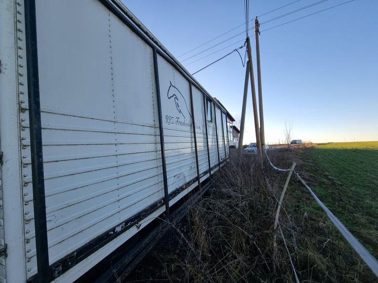 MAN horse transporter with stable tent, no TÜV (inspection)