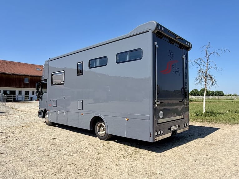 MAN TGL 8.180 Horse Transporter with 4-Horse Living Cabin, Automatic Transmission, WC, Shower – Exce