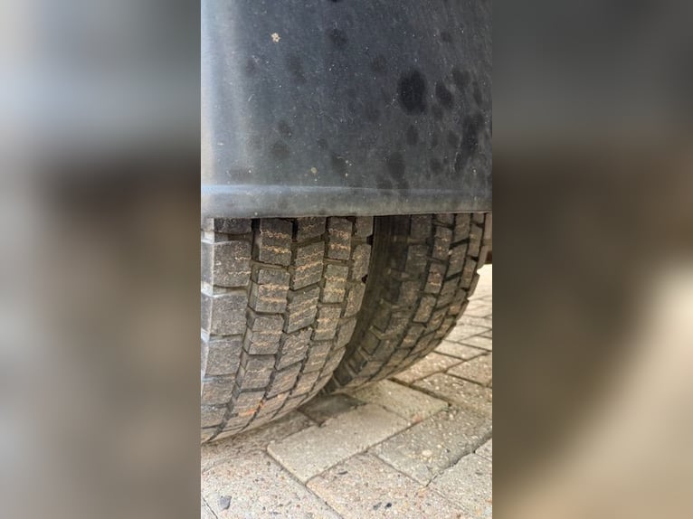 Mercedes 814 Van – 6-Horse Transporter – Classic Model, TÜV valid until 2026, 7.5 tons