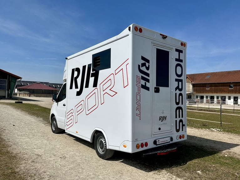 Mercedes-Benz 419 Sprinter 2-Horse Trailer RJH Sport 3.5-ton Truck