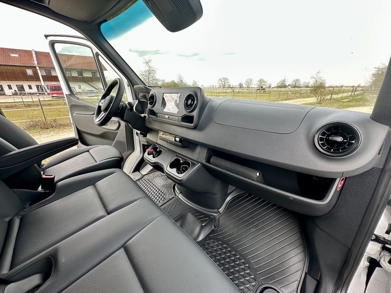 Mercedes-Benz 419 Sprinter 2-Horse Trailer RJH Sport 3.5-ton Truck