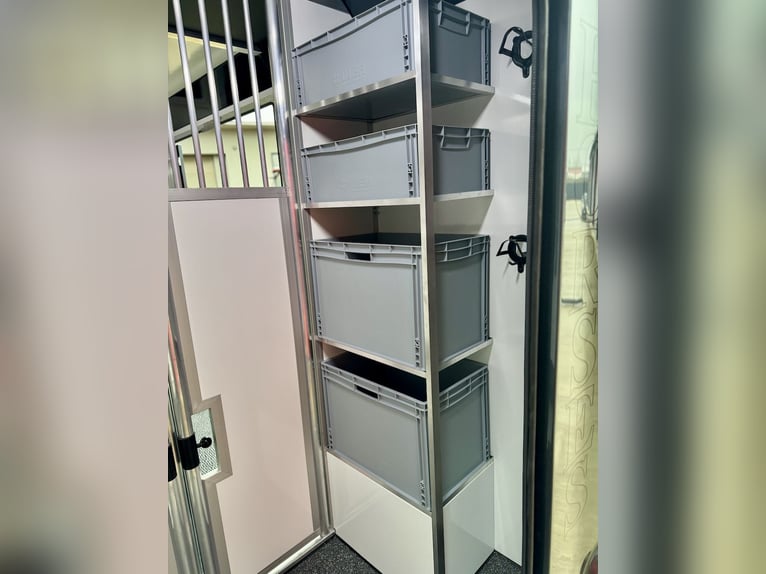 New Model Renault EQUITA 2-Horse Trailer, 3-Seater Truck with Automatic Transmission