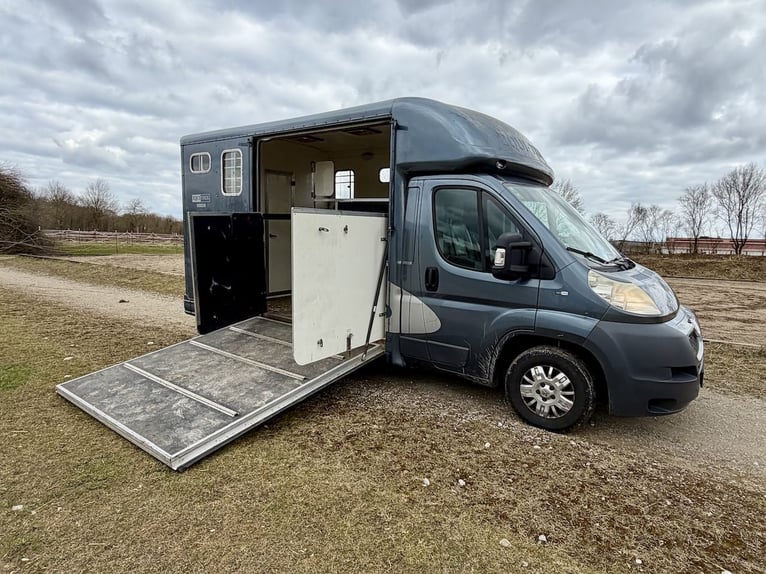 Peugeot Boxer Equitrek Sonic 2-Horse Transporter Truck – Used Vehicle on Behalf of the Customer